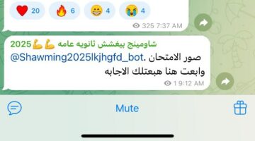 صور الامتحان وهبعت لك الإجابة .. والتعليم تحذر