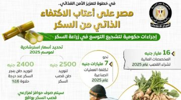 مصر تحقق الاكتفاء الذاتي من السكر بداية 2026