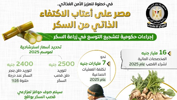 مصر تحقق الاكتفاء الذاتي من السكر بداية 2026