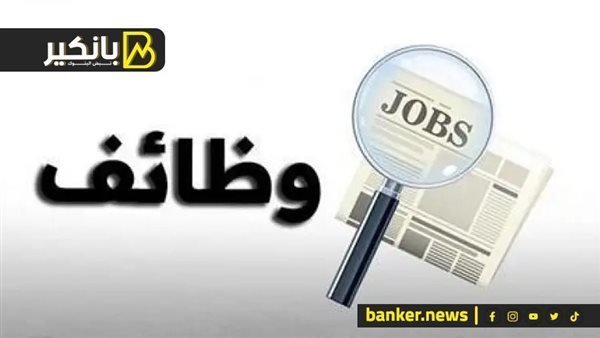 فرص عمل جديدة في الأردن للمصريين.. اعرف التخصصات والشروط
