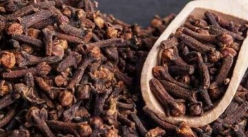 فوائد مذهلة.. ماذا يحدث لجسمك عند تناول القرنفل؟