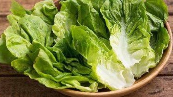 فوائد لا تحصى لتناول الخس على الريق