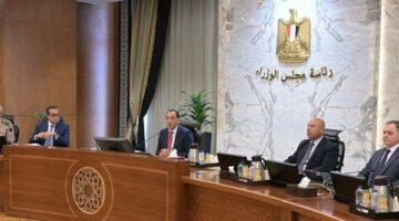 مجلس الوزراء يوافق على العفو عن عدد من المحبوسين بمناسبة 30 يونيو