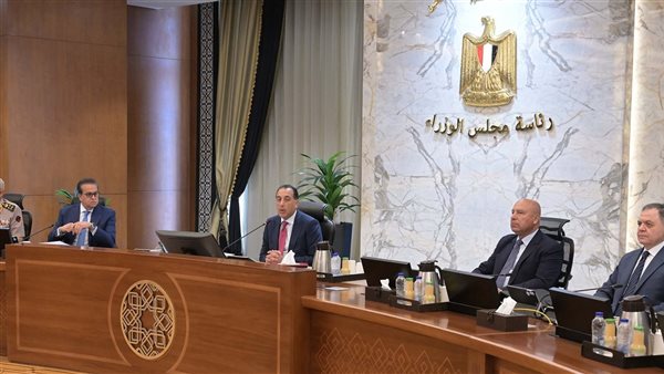 مجلس الوزراء يوافق على العفو عن عدد من المحبوسين بمناسبة 30 يونيو