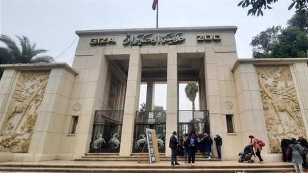 موعد افتتاح حديقة الحيوان بالجيزة.. خريطة الأنشطة الترفيهية ومرافق عالمية