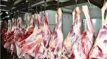 صندوق تحيا مصر يوزع لحوم الأضاحي على 1.5 مليون مواطن