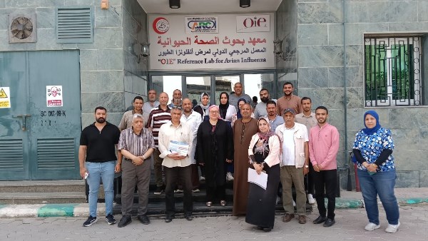 معهد الصحة الحيوانية ينظم برنامج تدريبي لمربي الدواجن والماشية بالمحافظات
