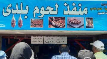 أرخص لحوم بلدى هنا.. ننشر قائمة بأسعار السلع بمنافذ الزراعة