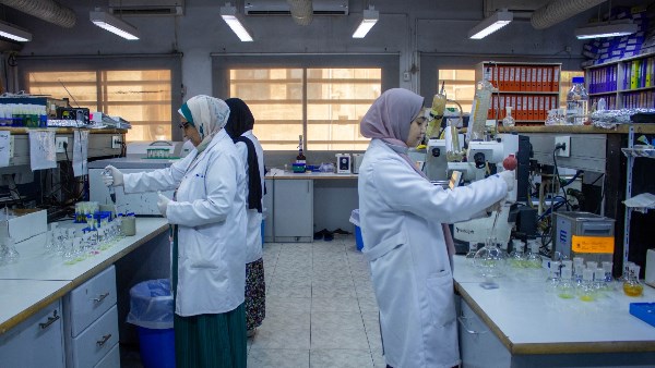 معمل متبقيات المبيدات يفحص ويصدر شهادات لأكثر من 2500 عينة لعملائه خلال إجازة العيد