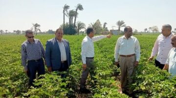 الزراعة تنفذ 6400 ندوة إرشادية بيطرية خلال مايو