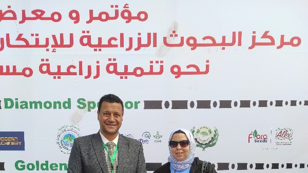 حوار| مدير “المحاصيل الحقلية” يكشف تفاصيل بدء إنتاج الأرز البسمتي والأسود.. وأسباب تحقيق أعلى إنتاجية من القمح
