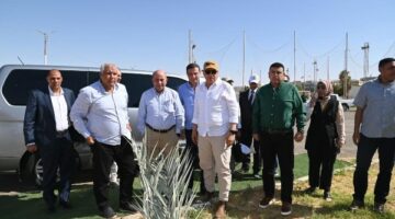 تعظيم إنتاجية الفدان بالوادي الجديد