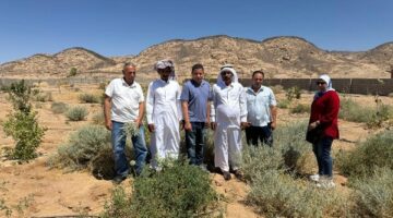 بحوث الصحراء يطلق المرحلة الثانية من مشروع التنمية الزراعية بجنوب سيناء