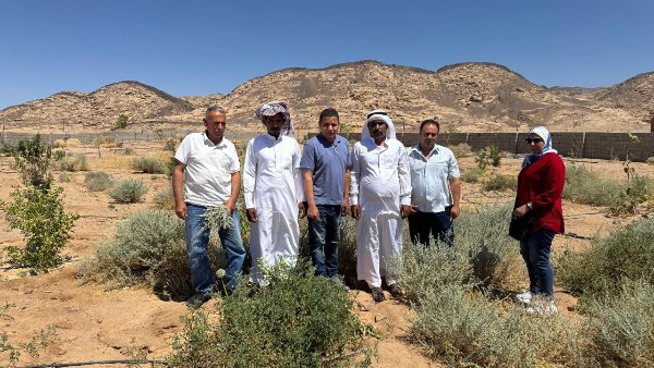 بحوث الصحراء يطلق المرحلة الثانية من مشروع التنمية الزراعية بجنوب سيناء