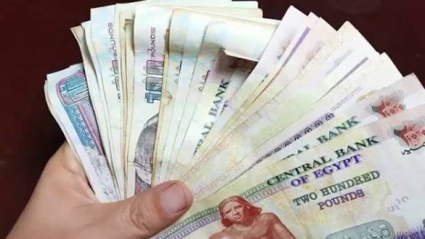 زيادة معاشات الأطباء.. تفاصيل قرار المهن الطبية المنتظر