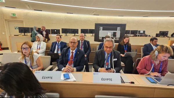 منظمة العمل الدولية تعتمد فلسطين عضوا مراقبا.. وجبران يؤكد ثوابت مصر لصالح القضية