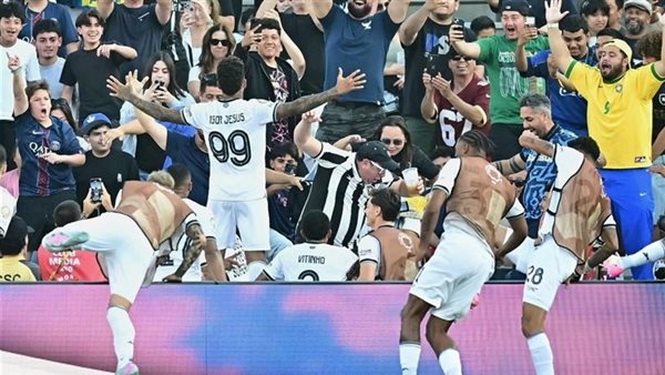 قمة برازيلية.. موعد مباراة بالميراس بوتافوجو بث مباشر في كأس العالم للأندية