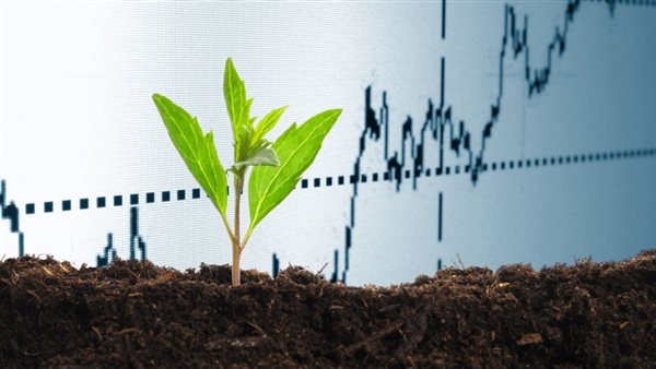 تراجع كبير في المحاصيل الزراعية بألمانيا بسبب أحد أمراض النبات