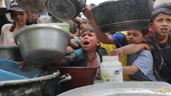 نحتاج تمويلا بنحو 265 مليون دولار لدعم الاستجابة العاجلة بفلسطين