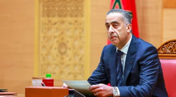 ✓ حموشي يؤكد اهتمام الأمن الوطني بحماية الثروة الغابوية