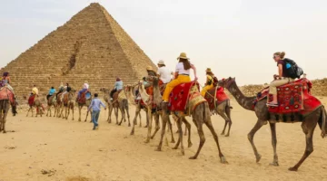 رغم الحرب.. التفاؤل يسيطر على القطاع السياحى – newnews4