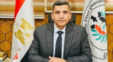 %31 نموًا فى صادرات البطاطس منذ بداية الموسم الحالى – newnews4
