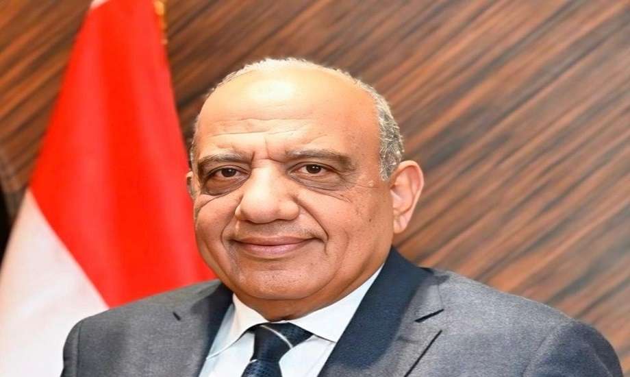 وزير الكهرباء يبحث مع شركة إماراتية زيادة التعاون بشأن التوسع في محطات تخزين الطاقة