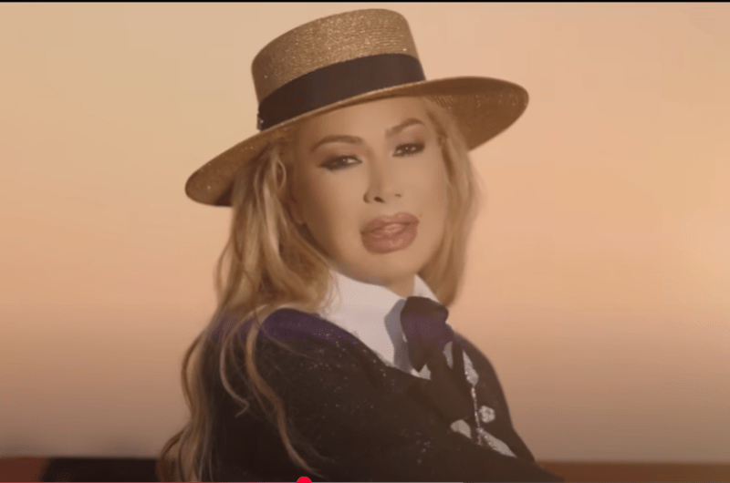 كلمات أغنية ” كان ليك وحشة” لـ نوال الزغبي