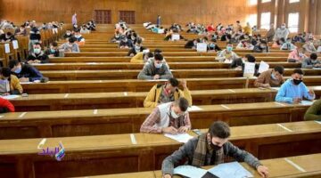 تنسيق 2025 .. كليات تقبل طلاب الدبلومات الفنية والمعاهد العليا
