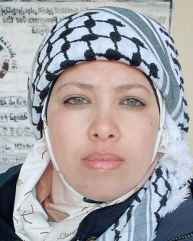 د. أميرة فؤاد النحال: العين في خاصرة الفولاذ: حجارة داوود وسيناريو الضرب في النقطة العمياء