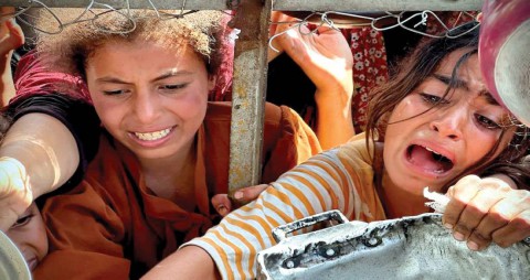 صحيفة أمريكية تكشف تفاصيل جديدة حول صفقة تهدئة غزة: 5 مراحل وتبادل أسرى أحياء وجثث وضمانات عربية ودولية