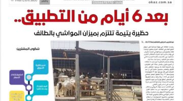 التطبيق بالتدريج.. «البيئة» لـ «عكاظ»: وزن المواشي مجاناً للمستهلك – أخبار السعودية
