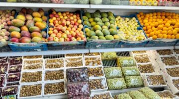 بساتين الطائف.. تمطر الأسواق والسياح بالتين وشتلات الترنج – أخبار السعودية