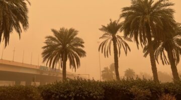 «الأرصاد»: رياح حارة ونشطة السرعة مثيرة للغبار حتى الأربعاء