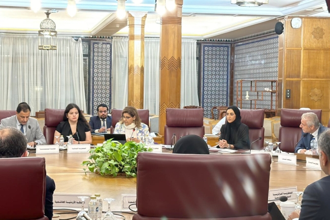 «الخارجية»: إيماننا تام بالمواثيق العربية والدولية لحقوق الإنسان