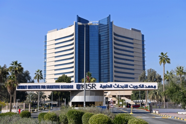 تحديد الهوية الوراثية للطحالب السامة المُسببة لنفوق الأسماك بمياه الكويت