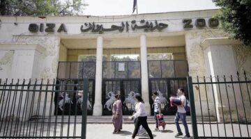 حديقة الحيوان في ثوبها الجديد.. الكشف عن الموعد النهائي لافتتاحها