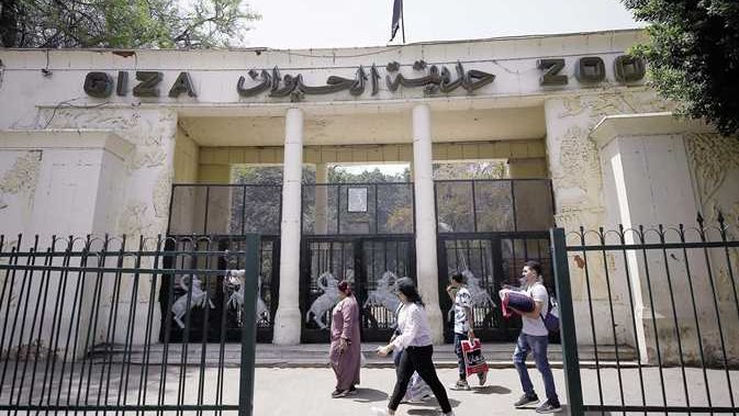 حديقة الحيوان في ثوبها الجديد.. الكشف عن الموعد النهائي لافتتاحها