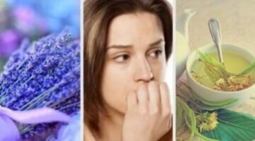 5 أعشاب فعّالة لتهدئة الأعصاب والتخلص من التوتر.. جربها قبل اللجوء للأدوية