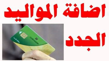 متاح لـ 4 فئات فقط.. خطوات إضافة المواليد على بطاقة التموين2025