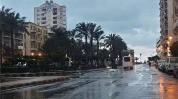 حجب جزئي لأشعة الشمس نهارا والرطوبة مرتفعة