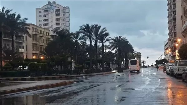 حجب جزئي لأشعة الشمس نهارا والرطوبة مرتفعة
