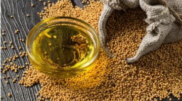 تقديرات واردات البذور الزيتية تقفز لأعلى مستوياتها في 4 سنوات